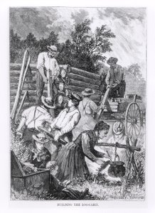 Construction de la cabane en rondins, gravée par Charles Maurand - American School